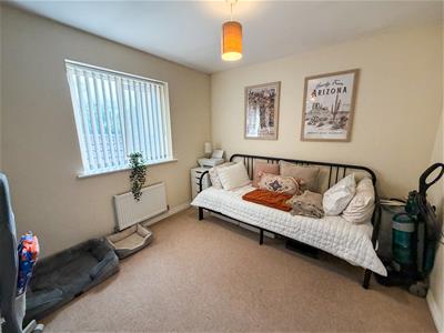 Picture 11